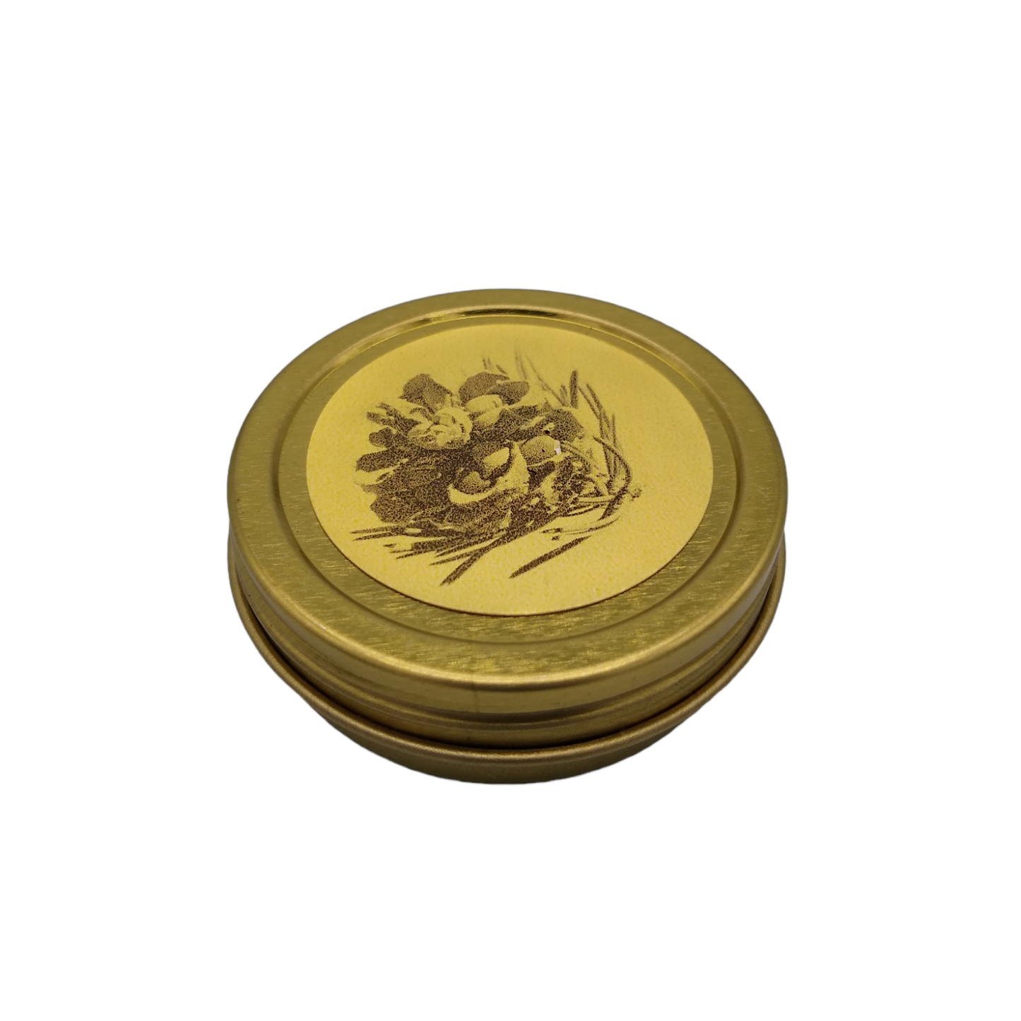 Piñon Pine Salve